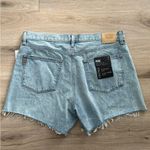 Paige NWT  Archie Shorts Size 31 Photo 5