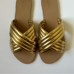 Raye Women's Ziggy Flats in Tan & Gold Photo 4