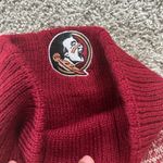 Captivating Headwear Florida State Knit Beanie Photo 2
