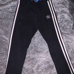 Adidas Jogger Leggings Photo 0