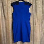 Torrid  Royal Blue Black Embroidered Lace Bodycon Mini Sheath Dress Size 14 Photo 1