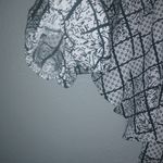 Sage  S Crop Gypsy Gray Crop Top Photo 1