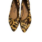 Zodiac  Leopard Print Leather Slip on Flats(Size 7M) Photo 1