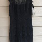 Jump Sexy Black Lace Dress Photo 0