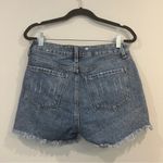 Just Black  Denim JBD Feifer Cat Scratch Short Photo 6