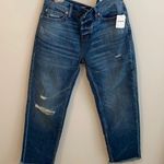 Free People We The Free Regular Low Rise Button Fly Distressed Jeans Photo 0