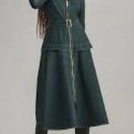 Anthropologie Long Sleeve Belted Front Midi Dress with Zipper Photo 1