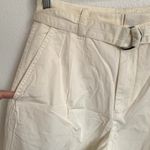 Everlane NEW The Pleated Wide-Leg Chino in Bone White Belted Photo 4