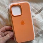 Apple Phone Case Photo 0