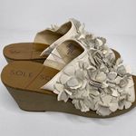 Sole Society  Sandals Size 9M Women's So Poppy Leather Slip On Wedge Beige Floral Photo 3