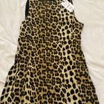 ZARA  Cheetah Dress Photo 0