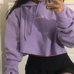 Champion Reverse Weave Cropped Hoodie Photo 0