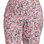 Terra & Sky Size 3X 24W-26W Womens Pull On Millennium Stretch Shorts Floral New Photo 7
