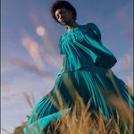 Ulla Johnson NEW Ella Midi Skirt Jade Pleated Size 10 Gem Tone Jewel Bright Photo 1