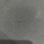 Lands End Sz 8P 8 P Pants Mid Rise Wide Leg Black Elastic Waist Pull On Women’s Photo 4