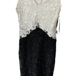 Laundry by Shelli Segal BNWT LAUNDRY BLACK AND WHITE LACE PENCIL COCKTAIL DRESS SIZE US2(AU8) Photo 0