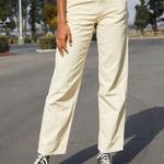 John Galt Brandy Melville Pants  Photo 4