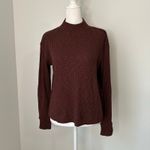 Everlane  dark brown knit mockneck sweater size XS Photo 1
