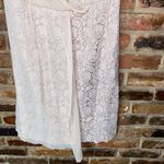 Ann Taylor Silk Chiffon Crochet Lace Sheath Beige Mini Dress Women's Size 8 Photo 2