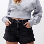 PacSun Mom Shorts Photo 0