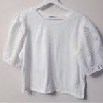 ZARA White Eyelet lace ruffled sleeve Women's Top Photo 0