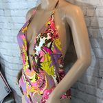 Milly Cabana Acapulco Plunge Maillot Swimsuit Photo 4