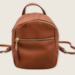 Walmart  Mini Brown Vegan Goldtone Hardware Convertible Crossbody Zip Backpack 8" x 6" Photo 0