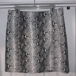 Wild Honey snakeskin leather skirt Photo 1