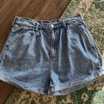 American Eagle Outfitters Short Photo 0