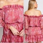 MISA Los Angeles Washed Rose Pink Danae Floral Blouson Mini Dress Sz XS NWT Photo 3