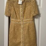 Sandro NWT Woman Livy Grosgrain-trimmed Corded Lace Mini Dress size 42 (6/8) Photo 4