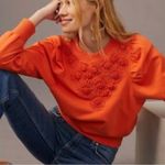 Anthropologie  Embroidered Sweatshirt Photo 0
