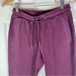 Alphalete Identity Joggers Sangria Size Medium Photo 3