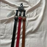 Steve Madden 🍂 3 pc belt set🍂 Photo 2