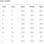 Adrianna Papell NWT Scoop Back Gown Photo 2