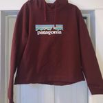 Patagonia Hoodie Photo 0