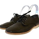 Rollie Australia Derby Punch Black Perforated Leather Lightweight Oxford Shoes Photo 1