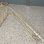 Ivy Park  Women’s Mesh Hoodie Cropped Pullover Layered Sheer Top Cream Size S Photo 5