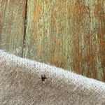 Tahari Women's  Beige Plaid Cowl Neck Sweater M Photo 6