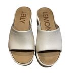 Lemon Jelly Warm Grey Sunny Platform Sandals Shoes Womens Size EU 39 US 9 Photo 1