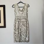 Tadashi Shoji Embroidered Lace & Sequin V-Neck Off-White Sheath Dress Size 0 Photo 6