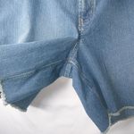 Faded Glory FG 24W Jeans Raw Hem Shorts Plus Photo 6