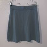 Alpine Design  Outdoor Adventure blue stretchy mini skirt Photo 3