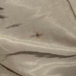 Vtg 80s Brown Leather Suede Long Coat Faux Fur Collar Tie Belt Sz Medium / Large Photo 6