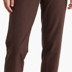 Eileen Fisher  “Slim‎ Ankle Pant” Slim Ankle Pants Coffee Brown Size XL NWT Photo 0