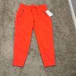 Athleta  Trekkie North Jogger NWT $89 Sz 14 Photo 4