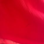 Badgley Mischka  Dress size 2 Photo 3