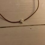 ENewton  cross choker white and brown Photo 4