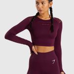 Gymshark Long Sleeve Crop Top Photo 0