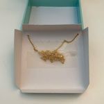 Francesca's NWT Seraphina for Francesca’s gold bar necklace with gift box. Photo 3